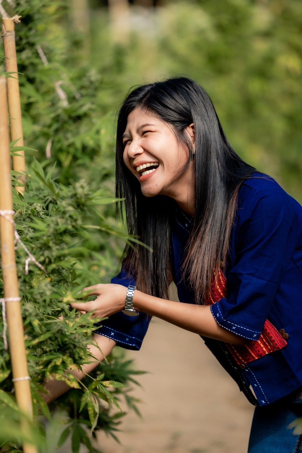 Ploy laughing in her cannabis garden, traditional Akha indigo jacket